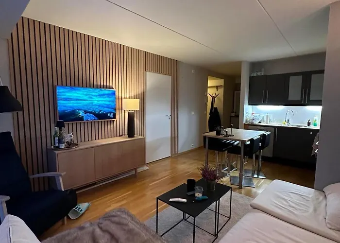 Central Apartment Perfect For People Visiting Stavanger!